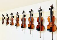 Violin